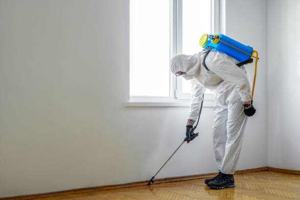 Best Pest Prevention Services  in Ponchatou, LA